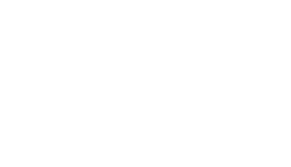 Logo Hustler Nest